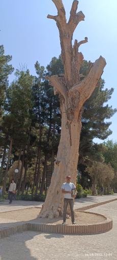 عکس گنبد فیروزشاهی