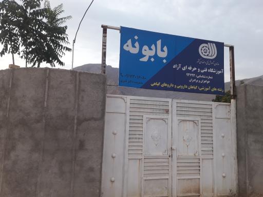 عکس مجتمع گیاهان دارویی بابونه