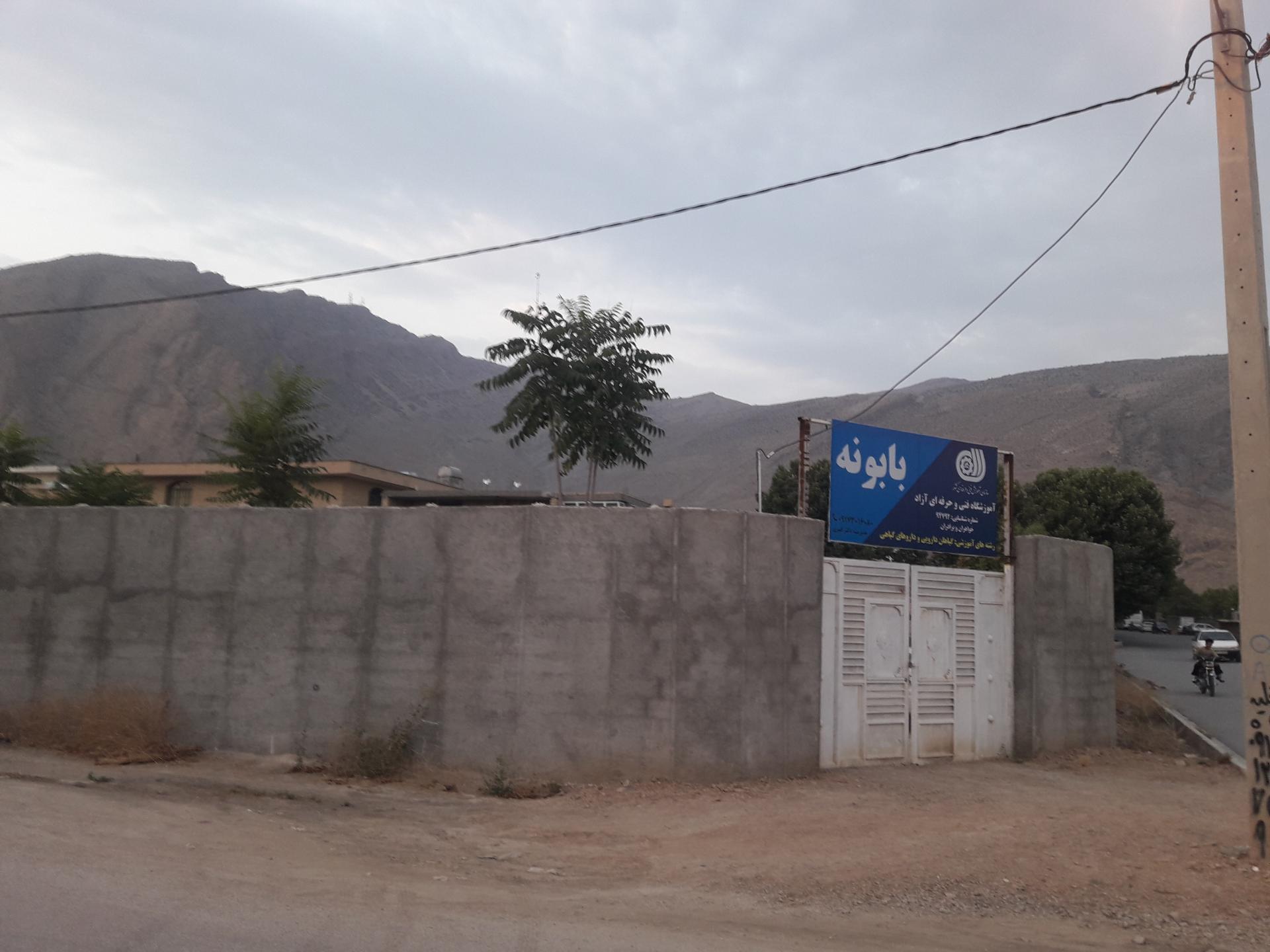 عکس مجتمع گیاهان دارویی بابونه