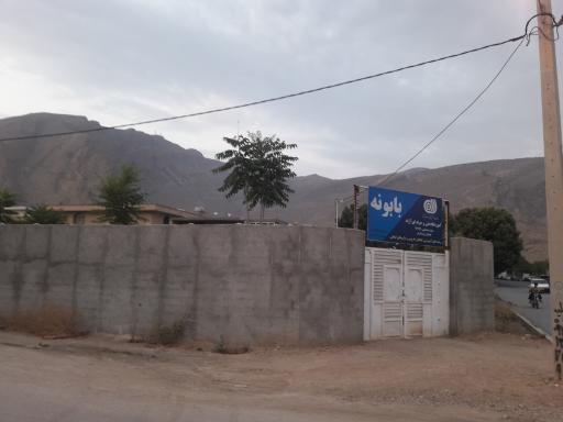 عکس مجتمع گیاهان دارویی بابونه