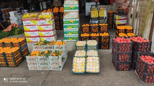 میدان میوه و تره بار نوغان