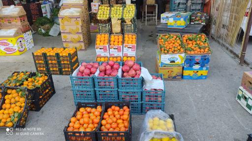 میدان میوه و تره بار نوغان