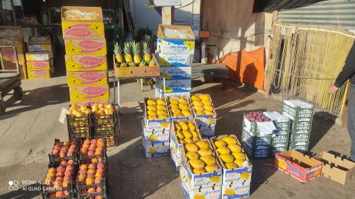 میدان میوه و تره بار نوغان