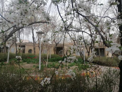 عکس هتل جهانگردی مشهد