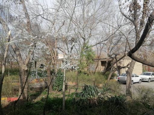 عکس هتل جهانگردی مشهد