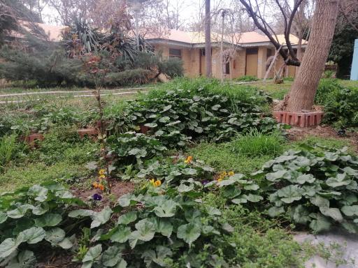 عکس هتل جهانگردی مشهد