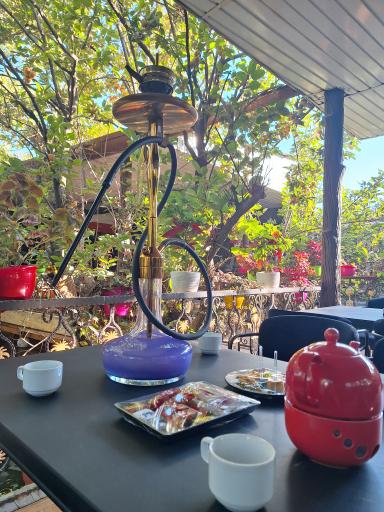 عکس باغ رستوران طبیعت