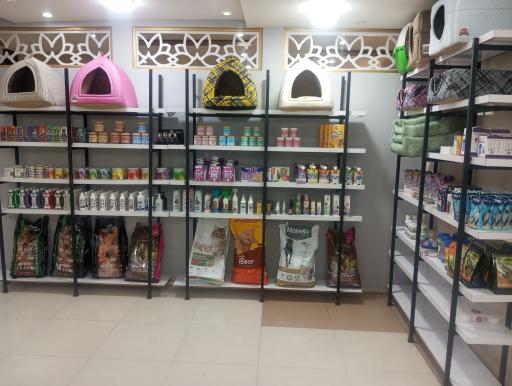 کلینیک دامپزشکی شبانه روزی پت لند 