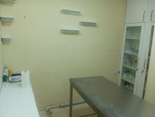 عکس کلینیک دامپزشکی شبانه روزی پت لند 