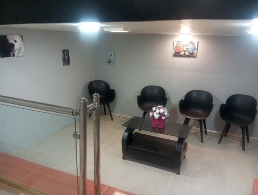 کلینیک دامپزشکی شبانه روزی پت لند 