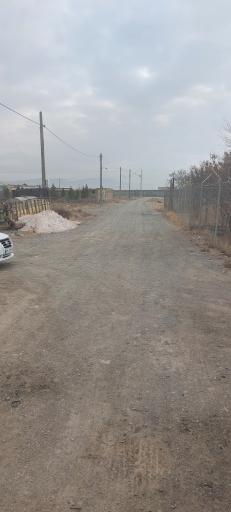 عکس گاوداری شریفی 