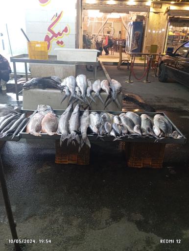 عکس شیلات ناخدا 