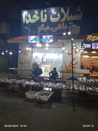 عکس شیلات ناخدا 