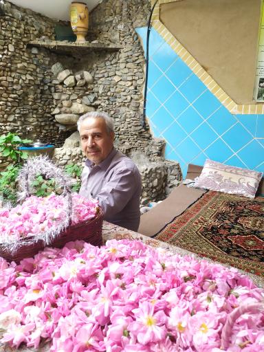 عکس گلاب وعرقیات گلی نیاسر