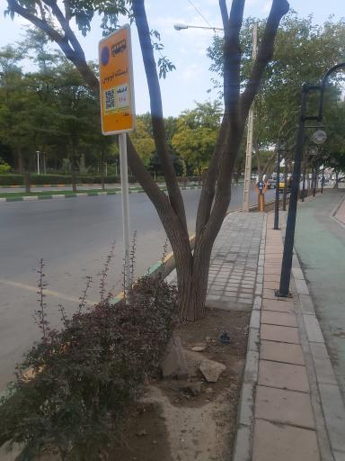 عکس  ابتدای بلوار شهید ناصری