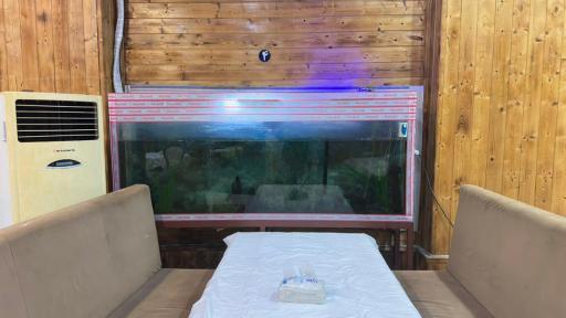 عکس اکبر جوجه شعبه رسمی بابلسر