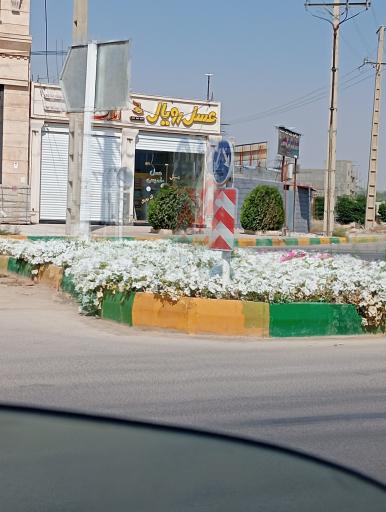 عکس عسل رویال