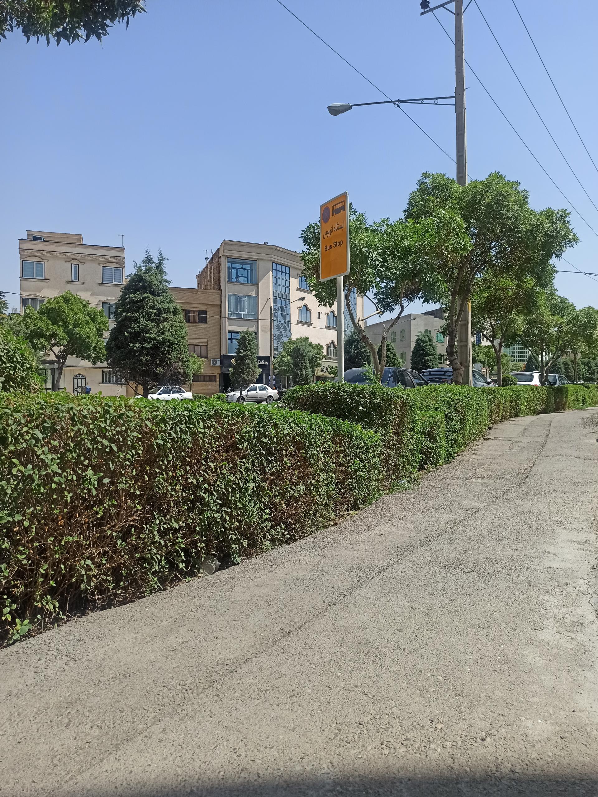 عکس  شهید صارمی 8