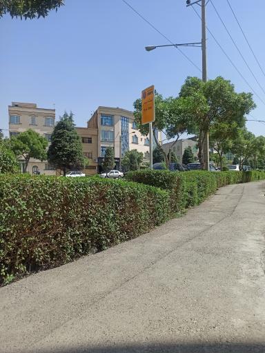 عکس  شهید صارمی 8