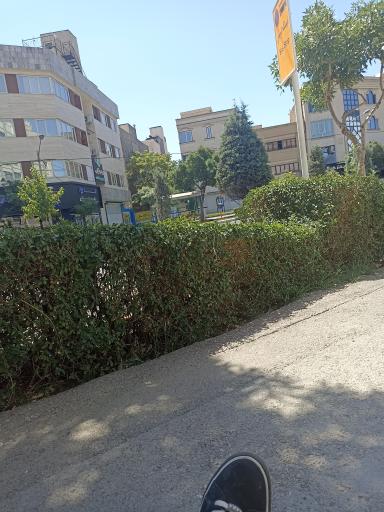 عکس  شهید صارمی 8