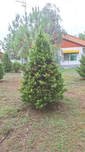 عکس مجتمع فرهنگی رفاهی کپورچال قوه قضاییه