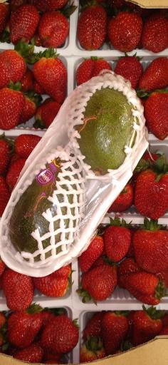 عکس میوه فروشی احمدجو