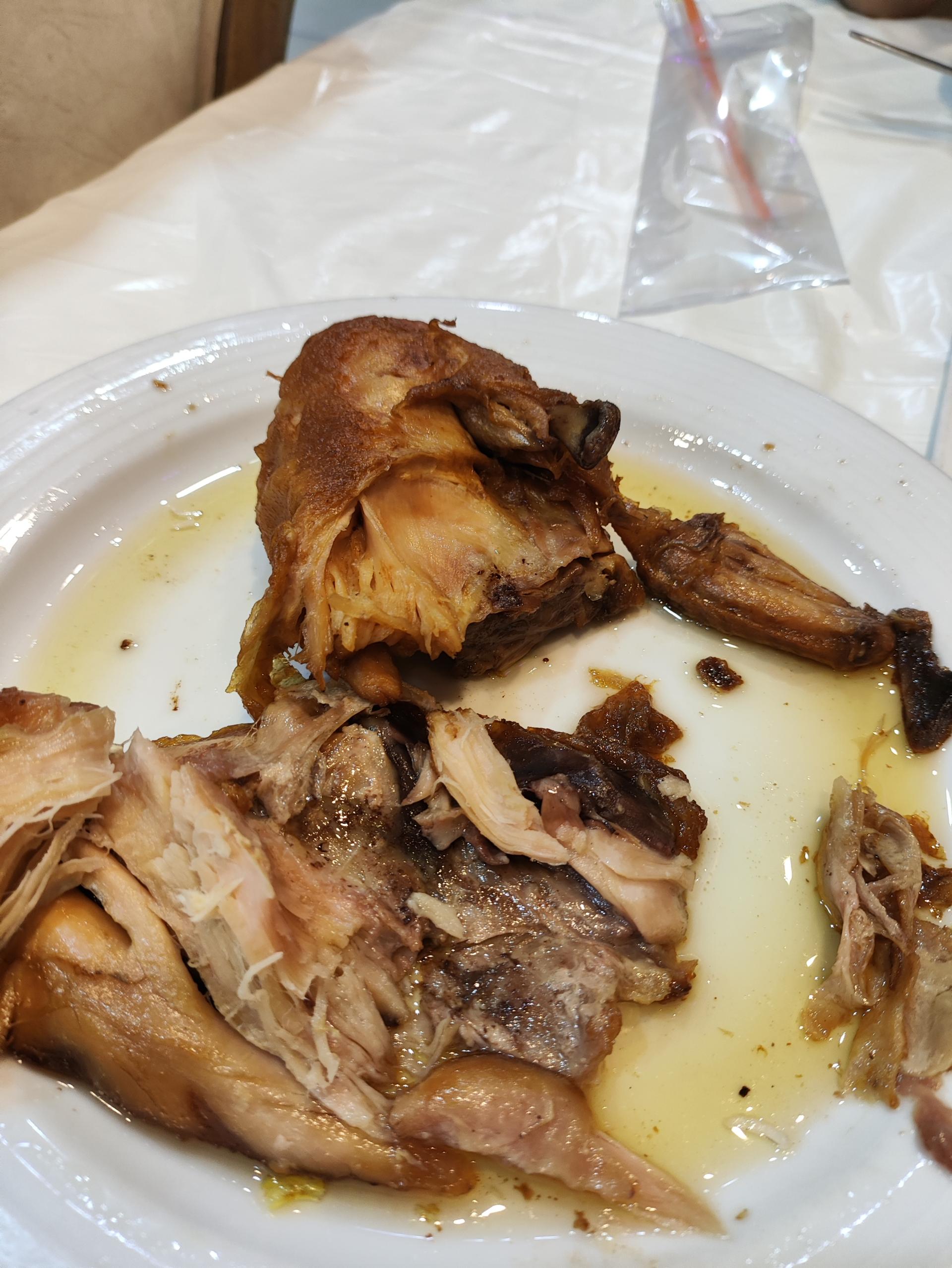 عکس اکبر جوجه شعبه رسمی بابلسر