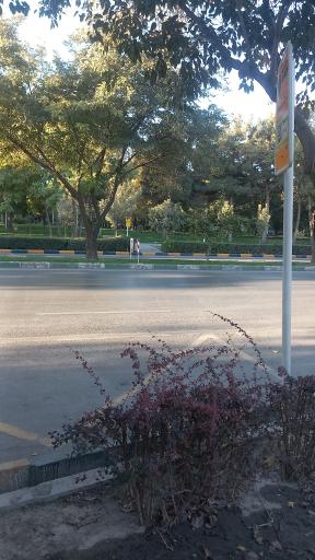 عکس  ابتدای بلوار شهید ناصری