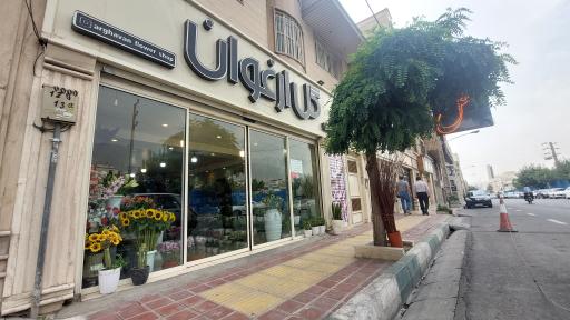 عکس گل ارغوان