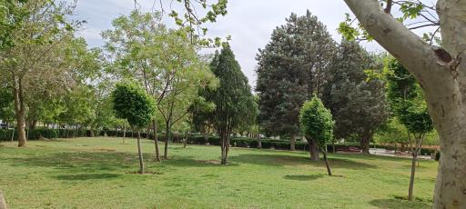 عکس بوستان لادن