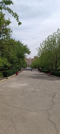 عکس بوستان لادن