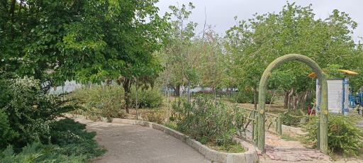 عکس بوستان لادن