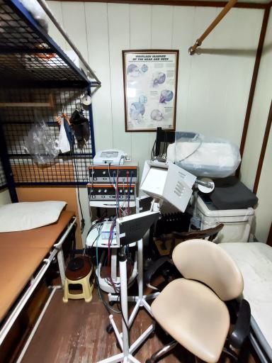 عکس فیزیوتراپی هومن