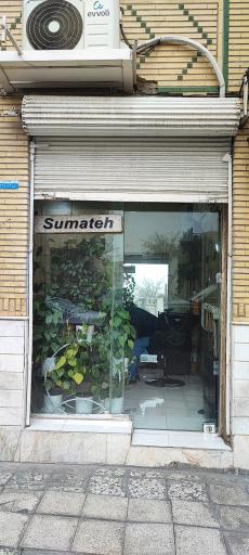عکس آرایشگاه سوماته