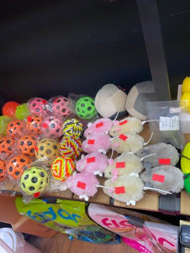 عکس پت شاپ میوخان شعبه 2