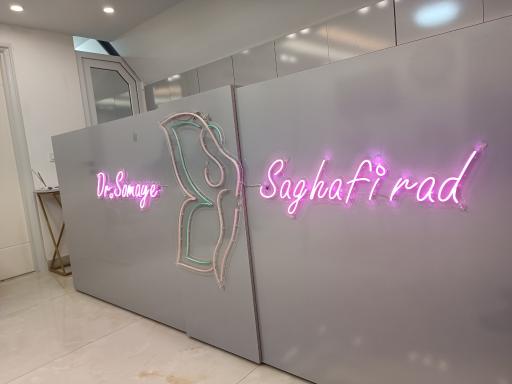 عکس دکتر سمیه ثقفی راد(زنان و زایمان)