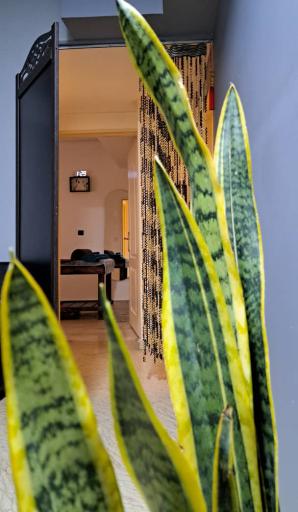 عکس مرکز ماساژ اسپامون