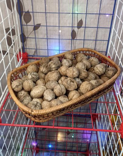 عکس فروشگاه اینترنتی گردوپیچ 