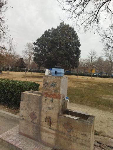 عکس بوستان لادن