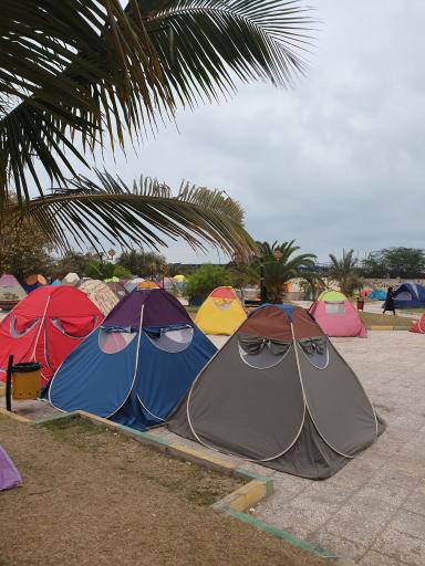 عکس ساحل خلیج فارس