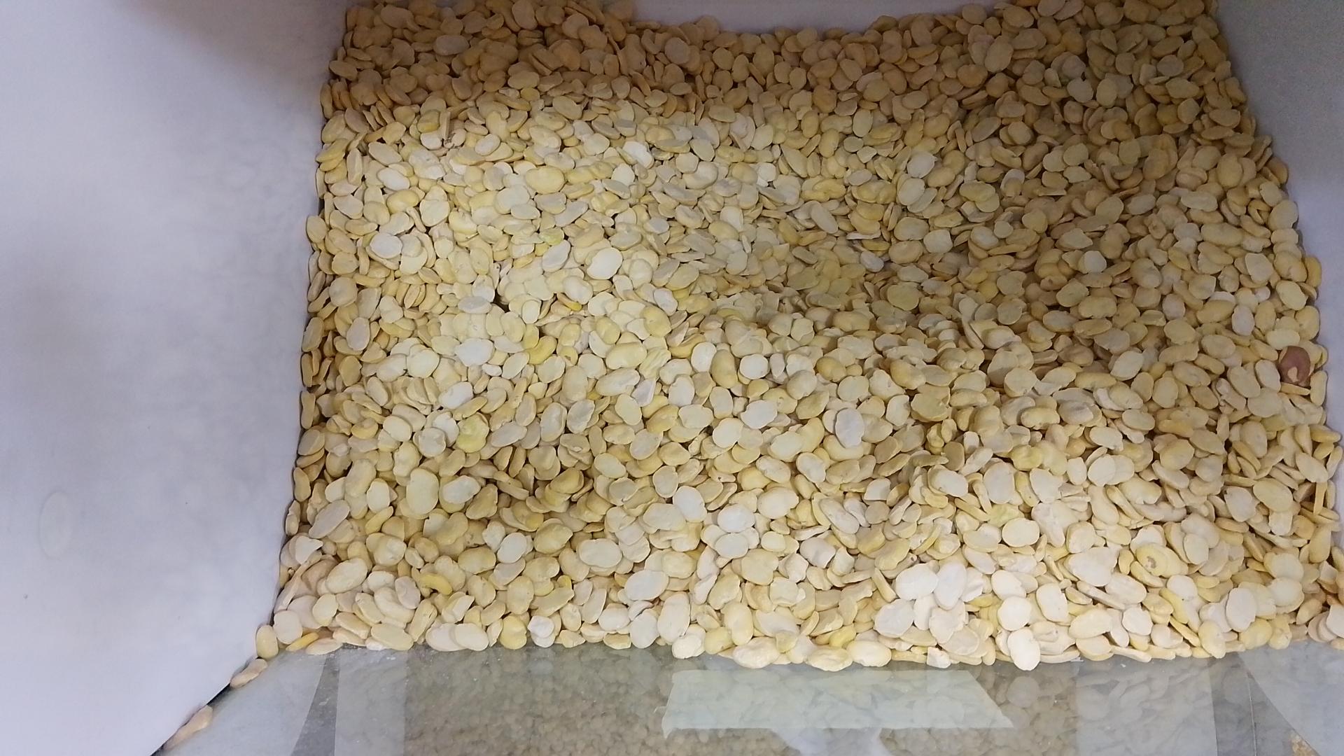 عکس فروشگاه مواد غذایی امیر