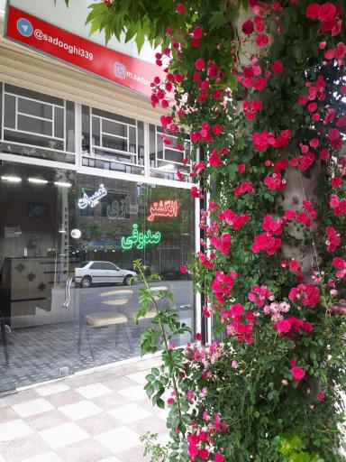 عکس انگشتر سازی صدوقی