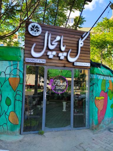 عکس گل پامچال