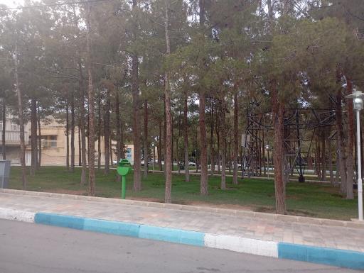 عکس بوستان کاج