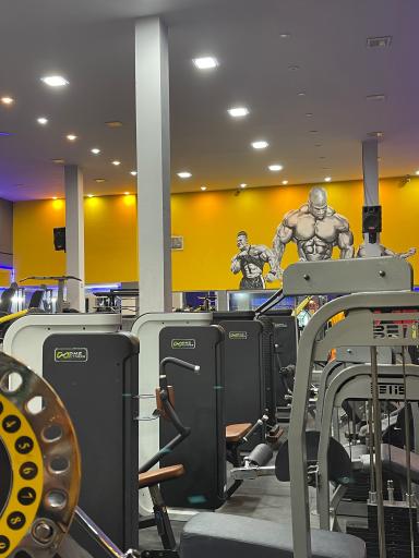 عکس باشگاه بهنام 