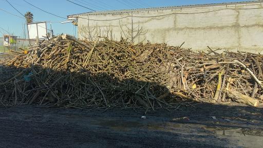 عکس دپو چوب فلاح