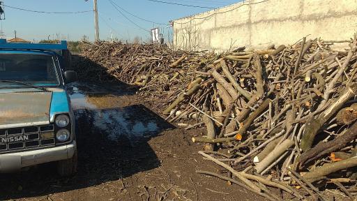 عکس دپو چوب فلاح