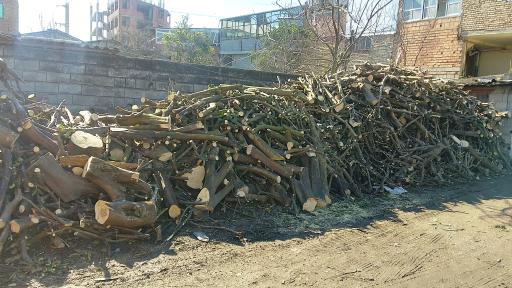 دپو چوب فلاح