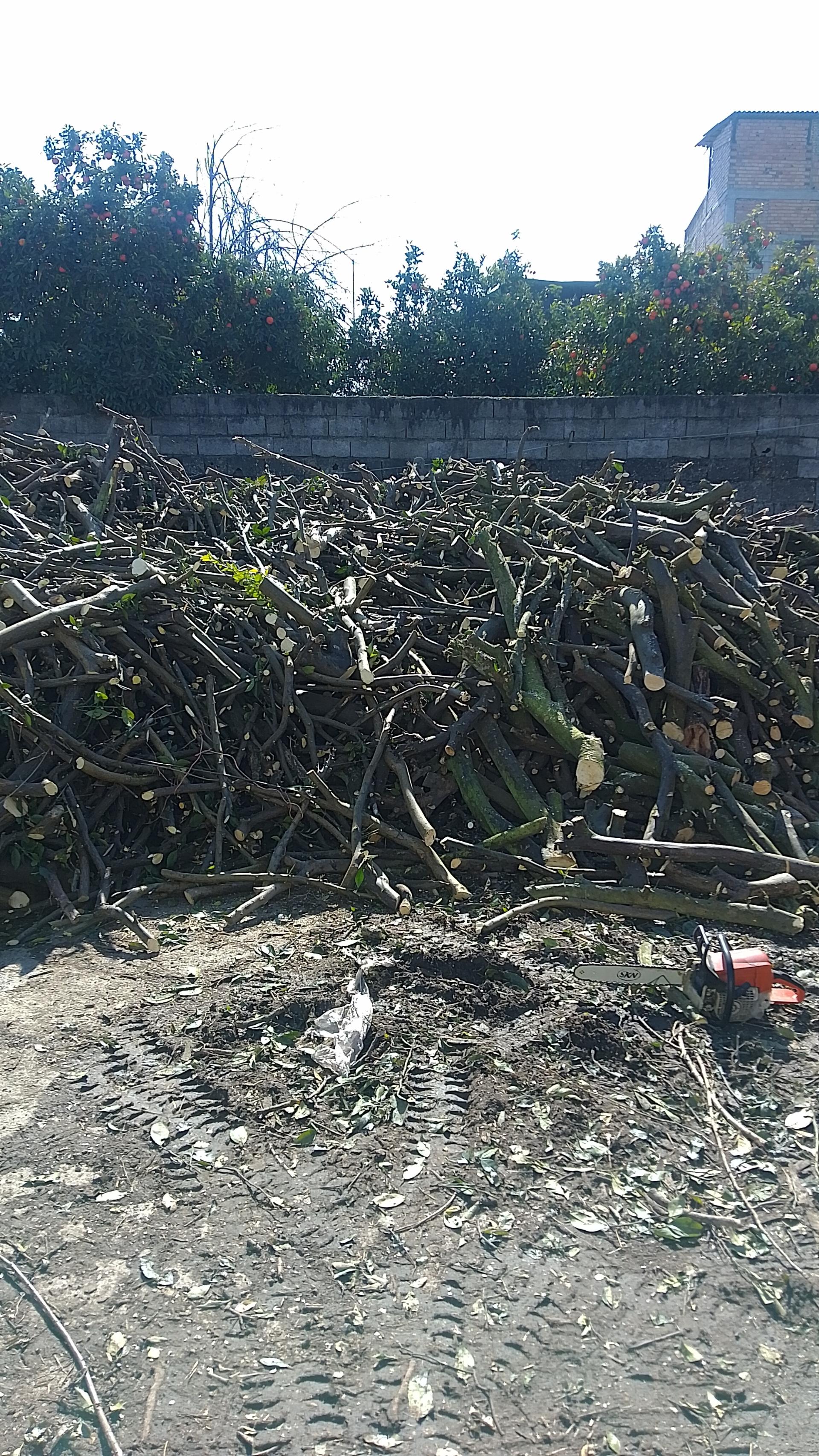 عکس دپو چوب فلاح