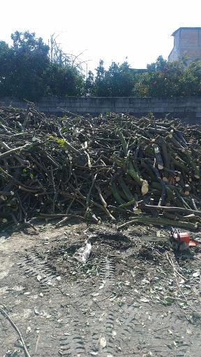 عکس دپو چوب فلاح